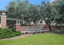 Aliana in Sugar Land