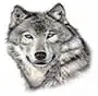 WarnerElementarySchoolPrimaryLogoImage